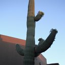 arizona from other cameras - DSCF1619